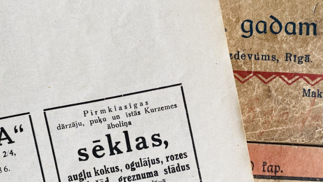 Senāku laiku sludinājumi no sēklu un stādu tirgotājiem