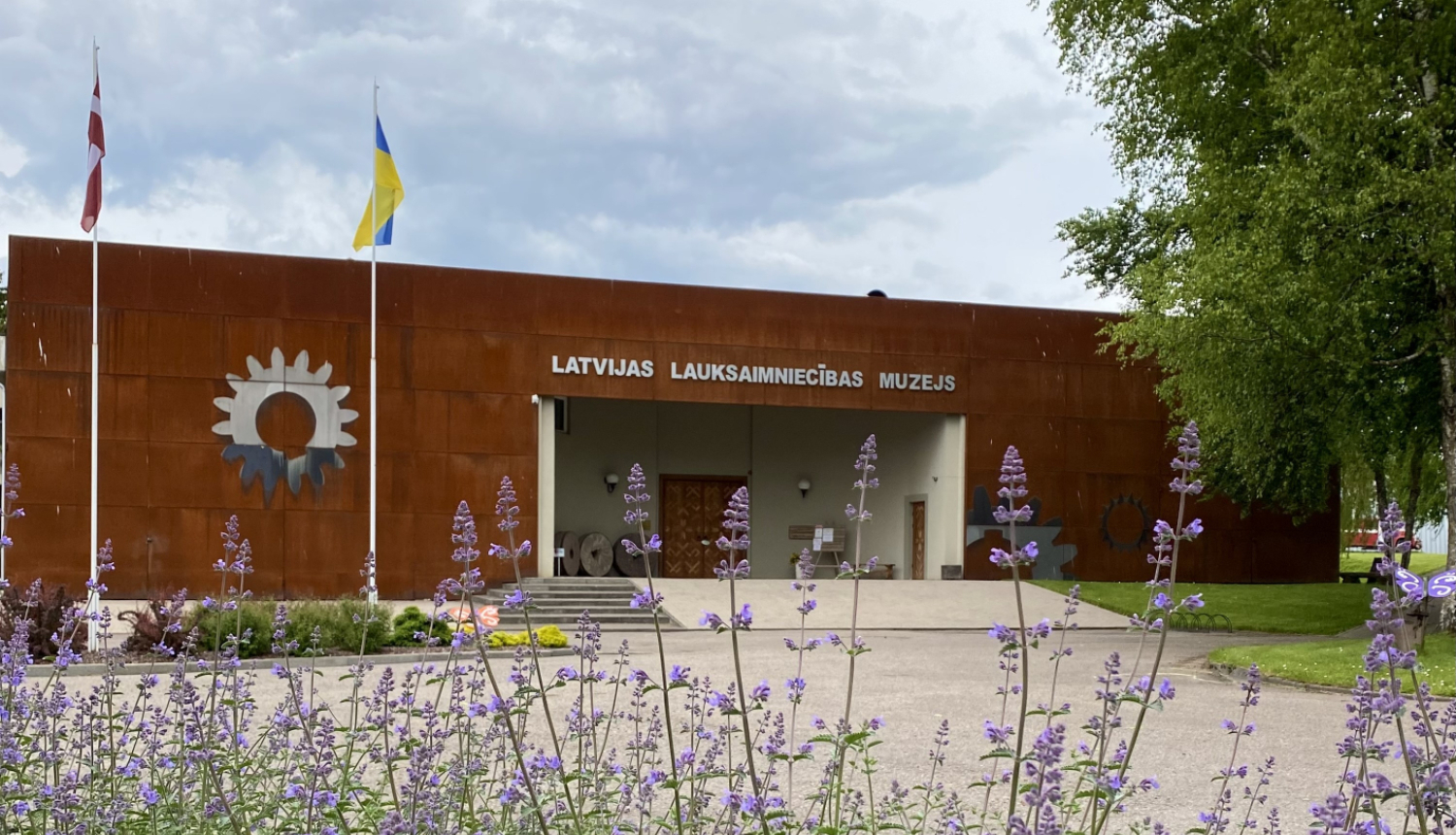 Ceļš uz Latvijas Lauksaimniecības muzeja galveno ieeju. Attēla priekšā ziedi zilganos toņos.