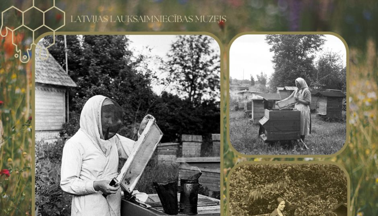 Dažādas personas, vairākās bildēs, pie bišu stropiem