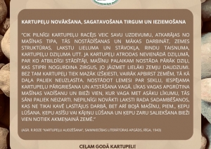 Muzeja izstādes informatīvais stends. Vidū aprakstošā daļa brūnganos toņos par kartupeļu novākšanu, sagatavošanu tirgum un ieziemošanu. Fonā kartupeļi tuvplānā