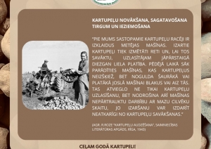 Muzeja izstādes informatīvais stends. Vidū bilde - sieviete no groza ber kartupeļus kaudzē, fonā divi vīri ar traktoru atkrata kartupeļus. Otrā aprakstošā daļa par kartupeļu novākšanu, sagatavošanu tirgum un ieziemošanu. Fonā kartupeļi tuvplānā