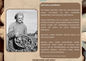 Muzeja izstādes informatīvais stends. Vidū bilde - redzama sieviete, kura no groza ber kartupeļus kaudzē. Otrā aprakstošā daļa par kartupeļu audzēšanu. Fonā kartupeļi tuvplānā