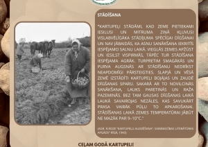 Muzeja izstādes informatīvais stends. Vidū bildē redzami cilvēki. Sieviete stāda kartupeļus, otra lasa kartupeļus stādīšanai no gubas, bet vīrietis zirga pajūgā gatavo vagas. Otrā aprakstošā daļa par stādīšanu. Fonā kartupeļi tuvplānā
