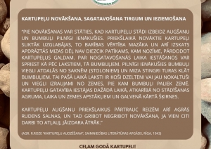 Muzeja izstādes informatīvais stends. Vidū aprakstošā daļa brūnganos toņos par kartupeļu novākšanu, sagatavošanu tirgum un ieziemošanu. Fonā kartupeļi tuvplānā