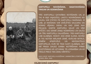 Muzeja izstādes informatīvais stends. Vidū bilde - redzami vagā, viens otram blakus sasēduši kartupeļu lasītāji. Otrā aprakstošā daļa par kartupeļu novākšanu, sagatavošanu tirgum un ieziemošanu. Fonā kartupeļi tuvplānā