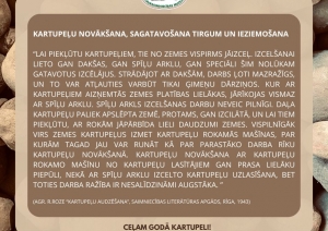 Muzeja izstādes informatīvais stends. Vidū aprakstošā daļa brūnganos toņos par kartupeļu novākšanu, sagatavošanu tirgum un ieziemošanu. Fonā kartupeļi tuvplānā