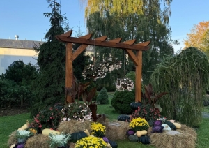 Ainavisks skaits - fonā lieli zaļi koki un brūnas šūpoles. Priekšā rudens veltes, siena ķīpas, kabači, ķirbji, krāsainas puķes