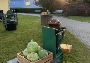 Dažādas praktiskas iekārtas saistītas ar kāpostu skābēšanu, novietotas zālājā blakus trotuāram