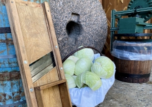 Viss sagatavots kāpostu skābēšanai un salikts laukumā pie ieejas Latvijas Lauksaimniecības muzejā
