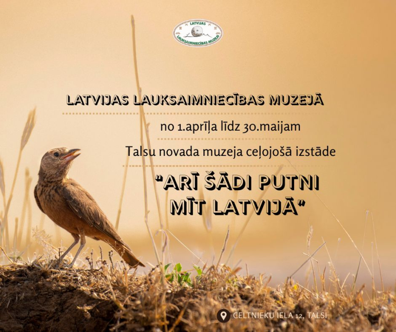 Ceļojošās izstādes “Arī šādi putni mīt Latvijā” plakāts - gaiši brūns putns un pavasarīga, brūngana paugura. Plakāts gaiši brūnos toņos