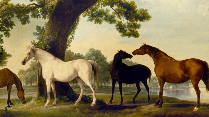 Divi zīmēti zirgi dabiskā ainavā