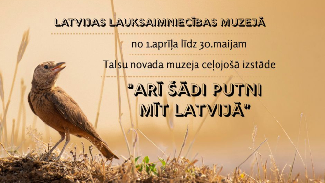 Ceļojošās izstādes “Arī šādi putni mīt Latvijā” plakāts - gaiši brūns putns un pavasarīga, brūngana paugura. Plakāts gaiši brūnos toņos
