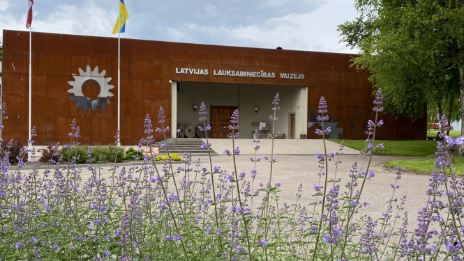 Ceļš uz Latvijas Lauksaimniecības muzeja galveno ieeju. Attēla priekšā ziedi zilganos toņos.
