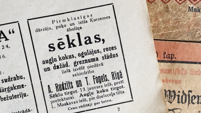Senāku laiku sludinājumi no sēklu un stādu tirgotājiem