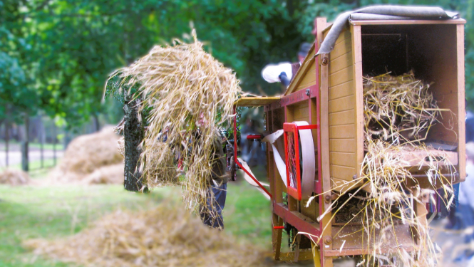 Kulšanas mašīna Imanta darbībā, skats no salmu izmešanas vietas