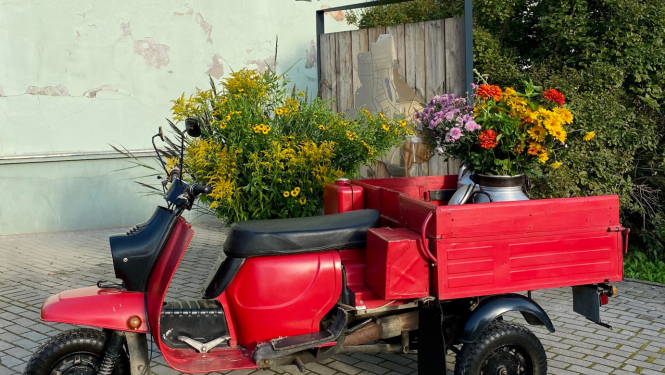 Ielas skatā, ziedu izrotāts sarkans kravas motorollers “Muravej” no Latvijas Lauksaimniecības muzeja krājuma