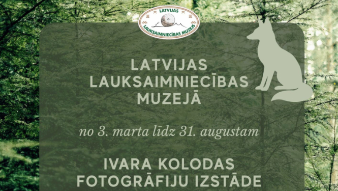 Izstādes plakāts tumši zaļos toņos. Biezs mežs un dekoratīvi meža dzīvnieku silueti