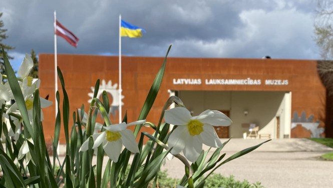 Ziedošas sniegpulkstenītes, kuru fonā ir Latvijas Lauksaimniecības muzeja galvenā ieeja