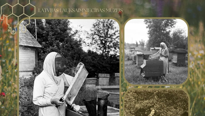 Dažādas personas, vairākās bildēs, pie bišu stropiem