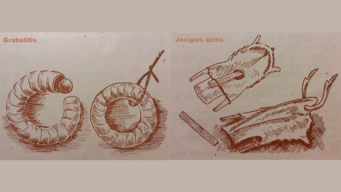 Rotaļlietas no zoss