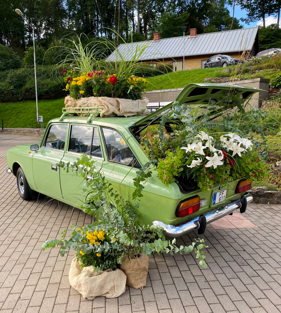 Ielas skats. Ziedu un zaļumu izdekorēta zaļa, senlaicīga automašīna