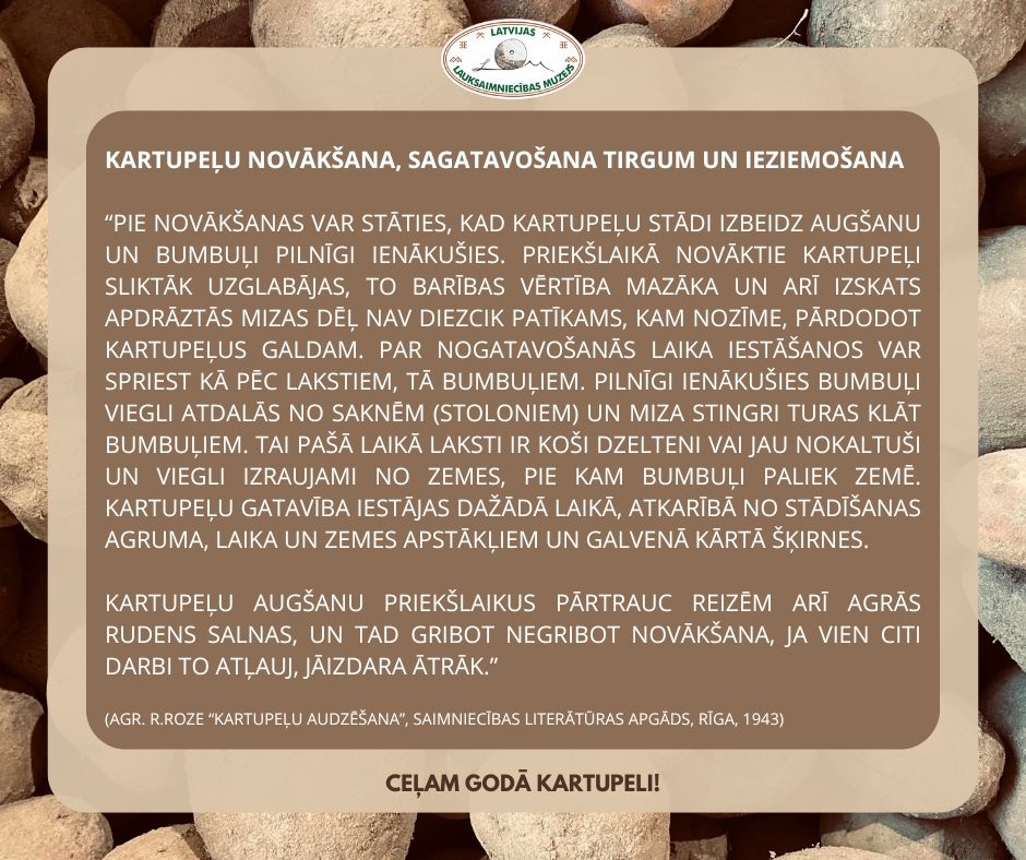Muzeja izstādes informatīvais stends. Vidū aprakstošā daļa brūnganos toņos par kartupeļu novākšanu, sagatavošanu tirgum un ieziemošanu. Fonā kartupeļi tuvplānā