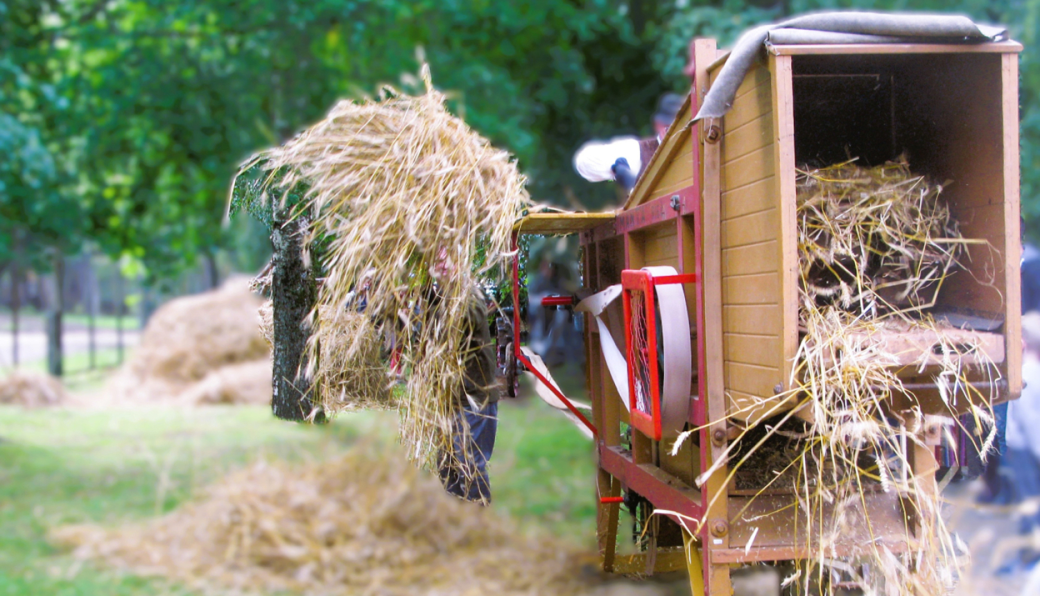 Kulšanas mašīna Imanta darbībā, skats no salmu izmešanas vietas