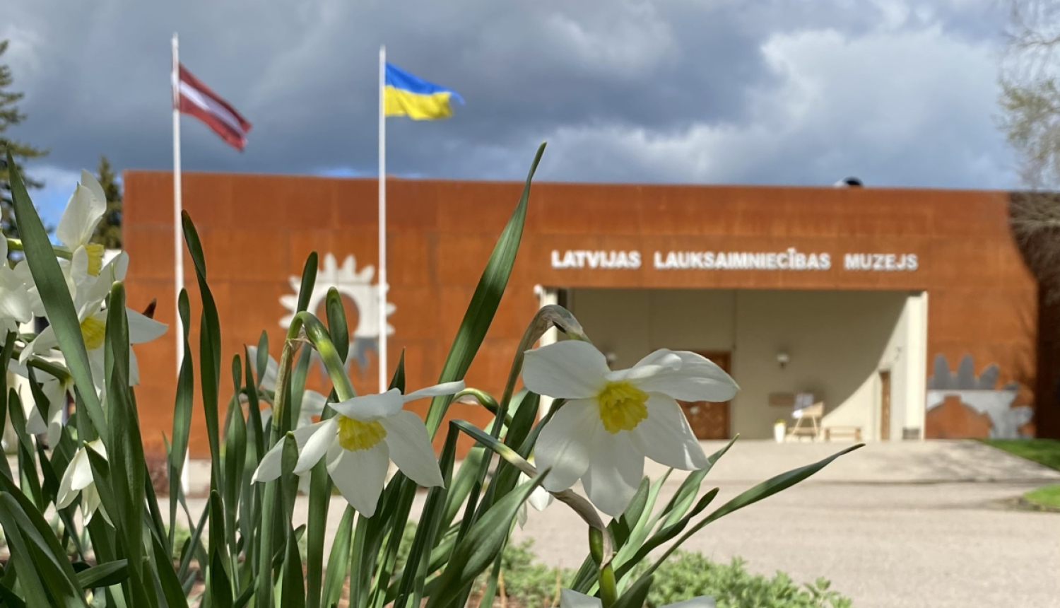 Ziedošas sniegpulkstenītes, kuru fonā ir Latvijas Lauksaimniecības muzeja galvenā ieeja