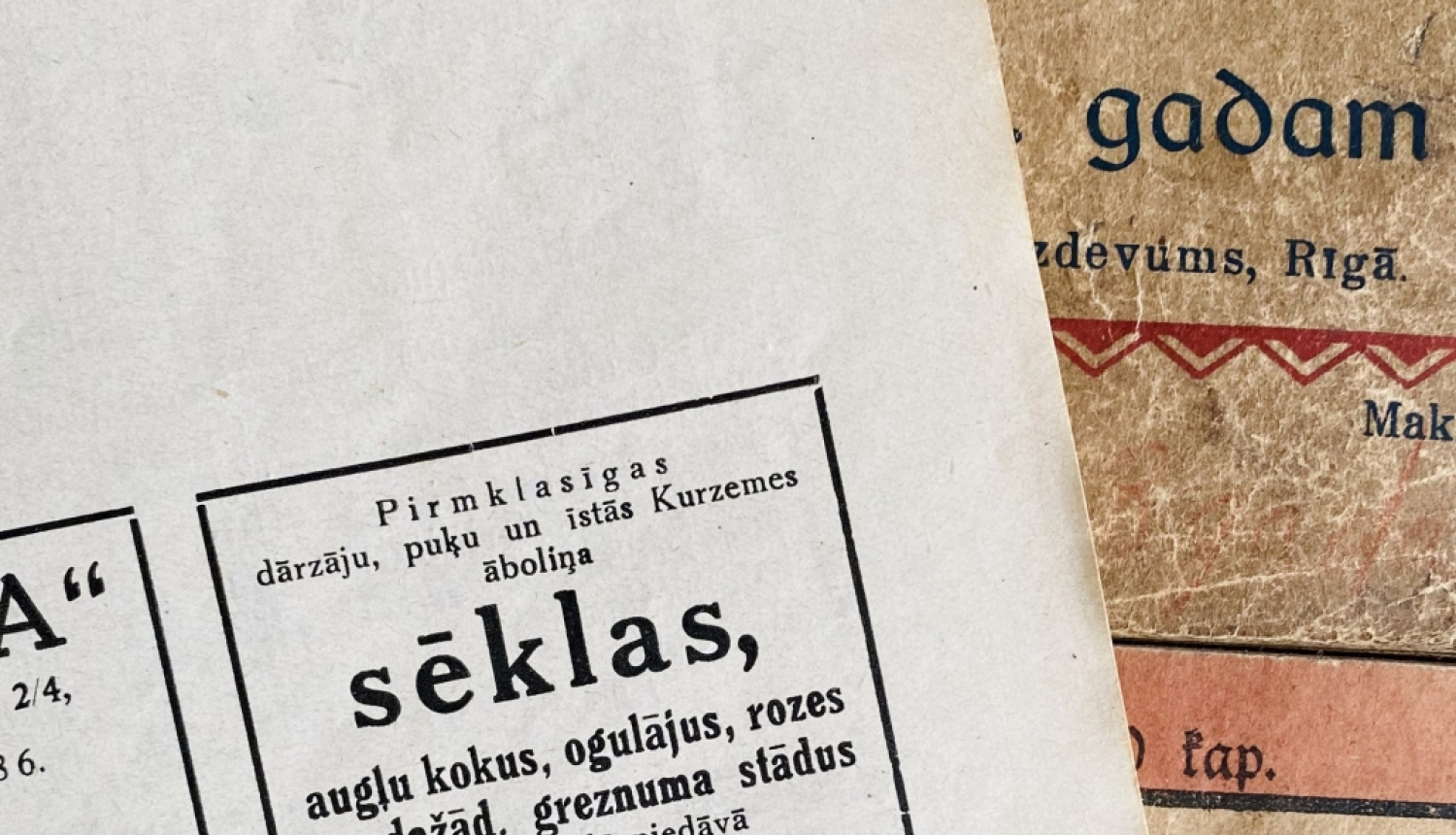 Senāku laiku sludinājumi no sēklu un stādu tirgotājiem