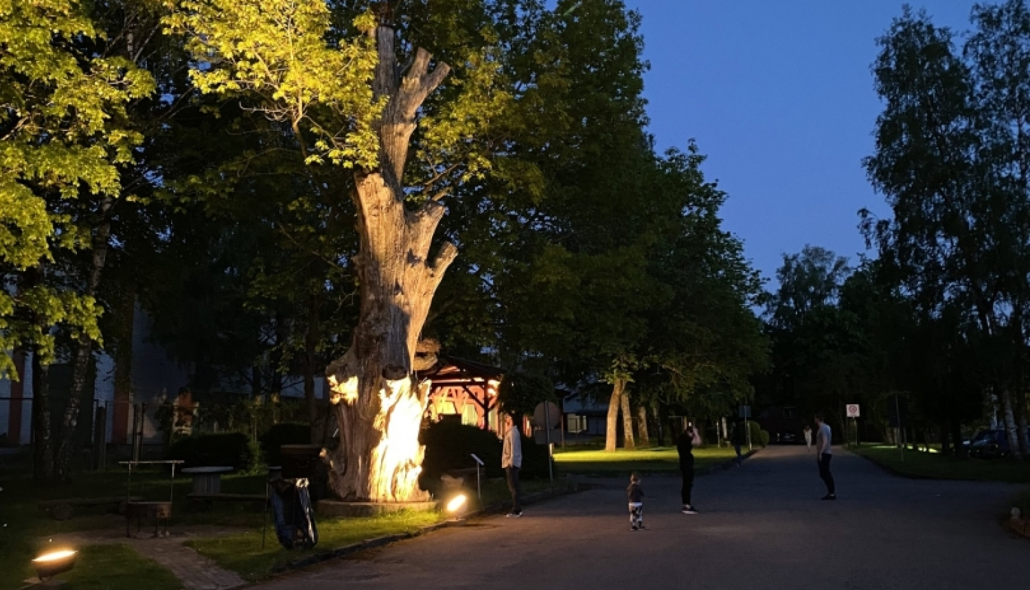 izgaismota taka uz muzeju pasākuma laikā, ar pilnmēnesi debesīs