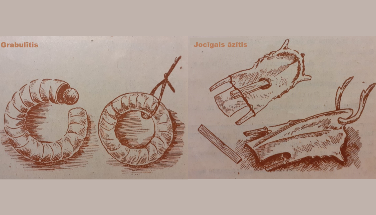 Rotaļlietas no zoss