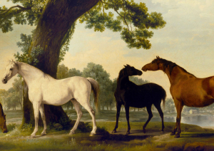 Divi zīmēti zirgi dabiskā ainavā