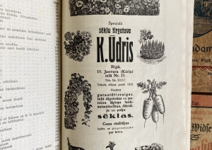Senāku laiku sludinājumi no sēklu un stādu tirgotājiem