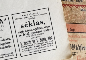 Senāku laiku sludinājumi no sēklu un stādu tirgotājiem