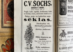 Senāku laiku sludinājumi no sēklu un stādu tirgotājiem