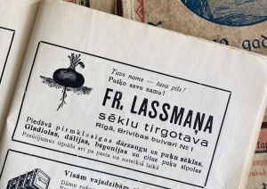Senāku laiku sludinājumi no sēklu un stādu tirgotājiem
